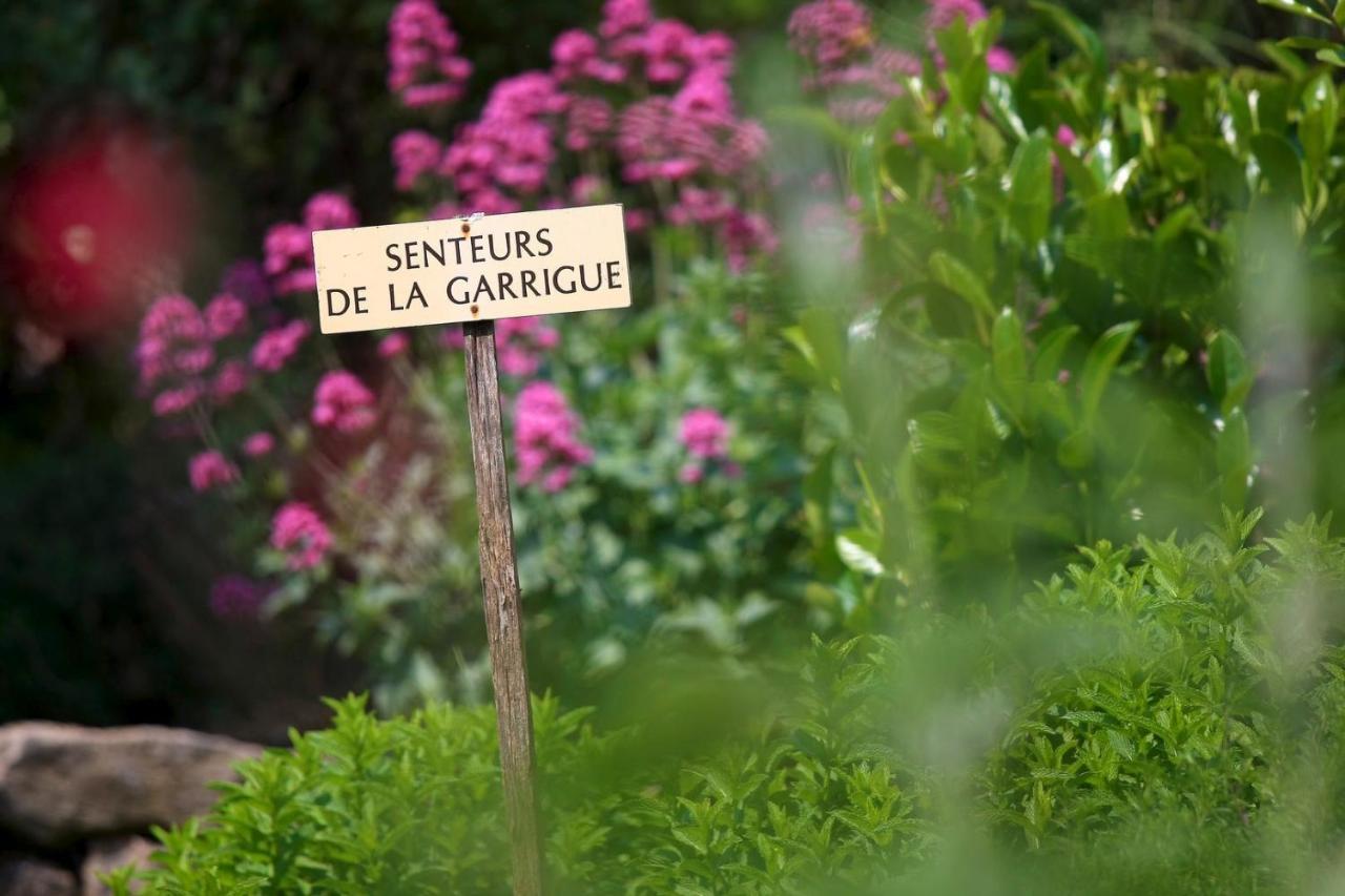 Maison De Village La Clemaline Figanières Eksteriør billede